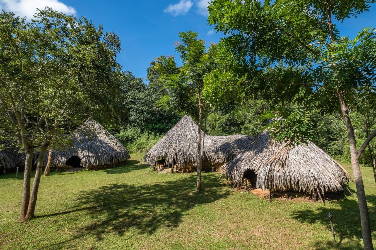 Villa Banyan Camp Hambegamuwa Exterior foto