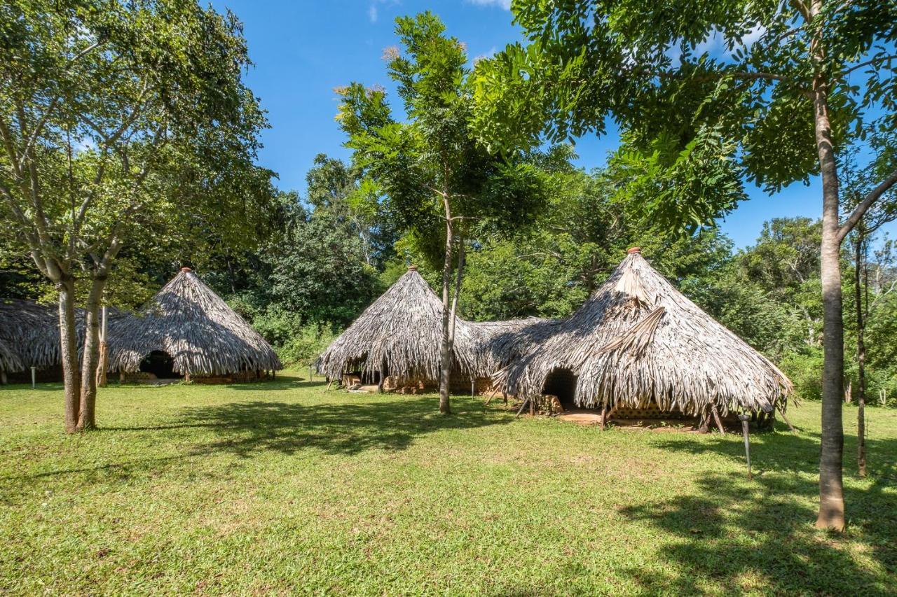 Villa Banyan Camp Hambegamuwa Exterior foto