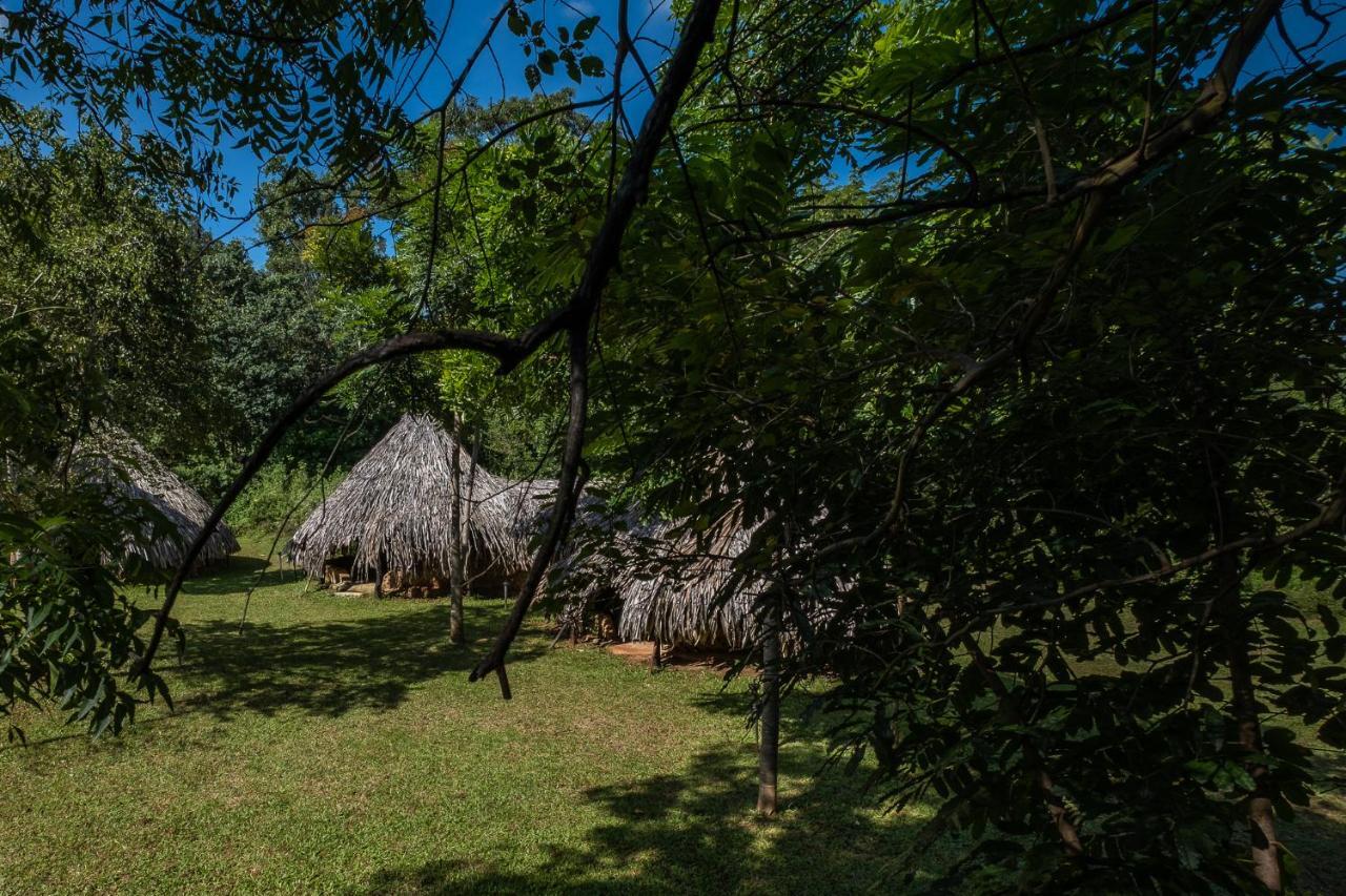 Villa Banyan Camp Hambegamuwa Exterior foto